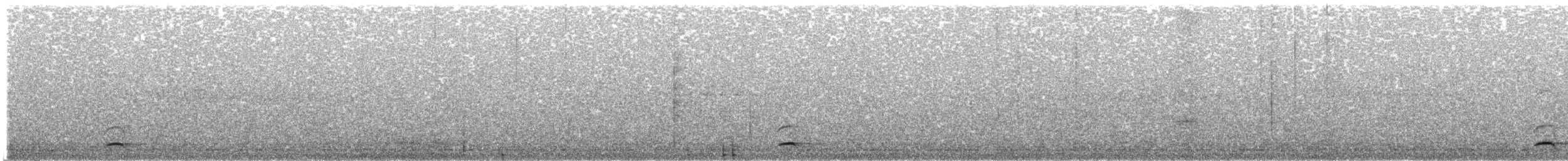 Kanada Kargası (obscurus/griseus) - ML94555271