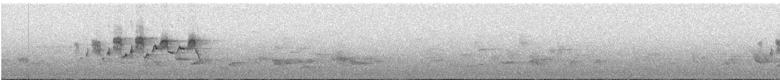 Black-throated Gray Warbler - ML94563871