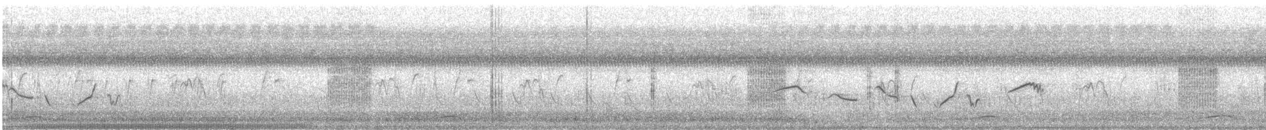 鵲鴝(saularis群) - ML94617381