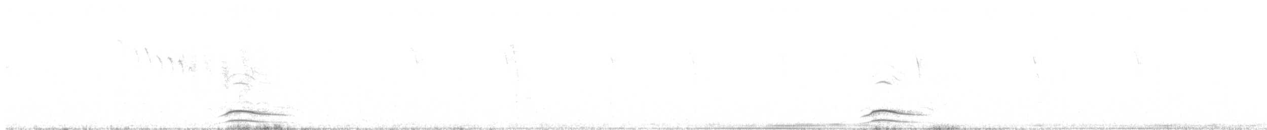 Gambel's Quail - ML94626841
