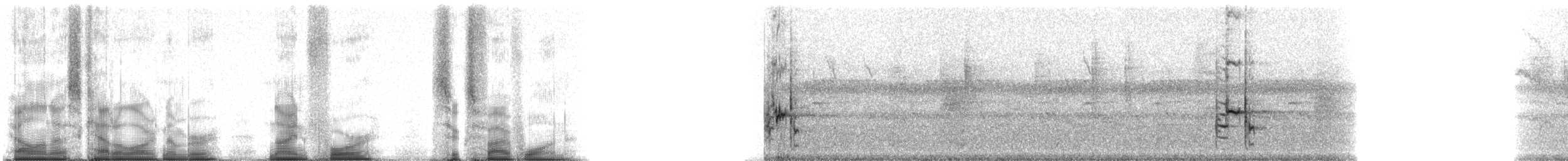 クロオウチュウ（adsimilis／fugax） - ML94651