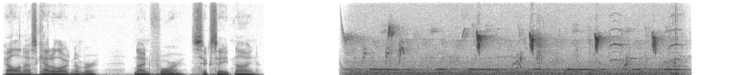 hvitstjertelminia - ML94689