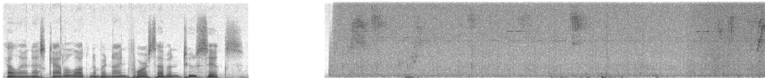 Kara Kulaklı Daknis (lineata) - ML94726