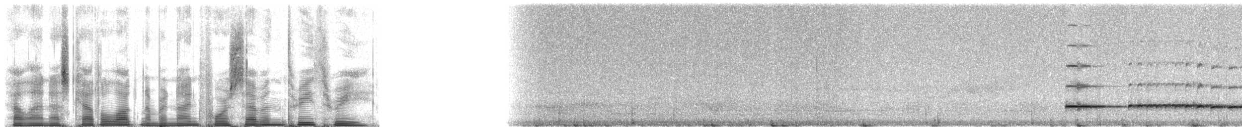Graubrust-Ameisendrossel - ML94733