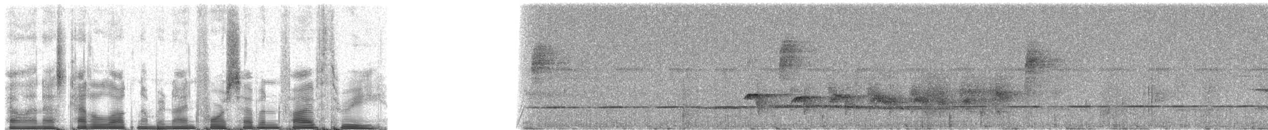 Gelbbrust-Ameisenschnäpper - ML94753