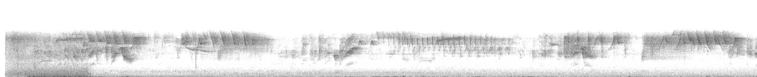 Віреон короткокрилий (підвид pusillus) - ML94754221