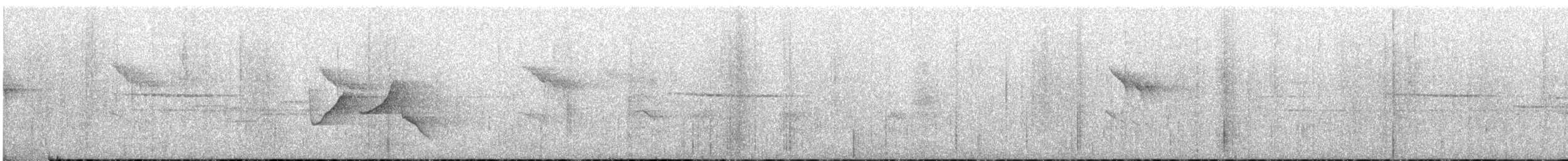White-eared Sibia - ML94761891