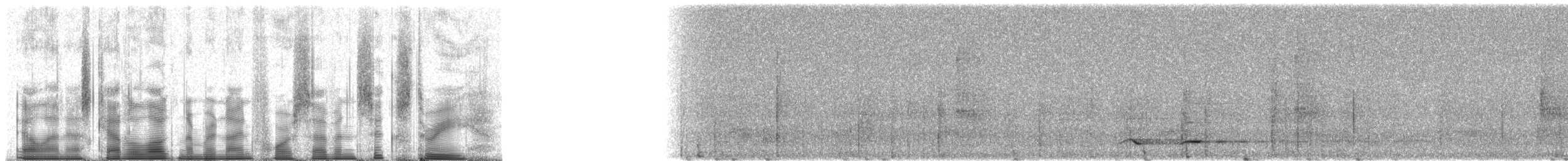Toucan à bec rouge (cuvieri/inca) - ML94763