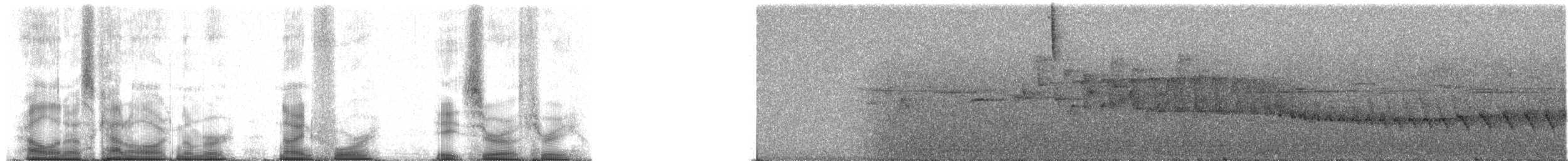 Madagascar Yellowbrow - ML94803