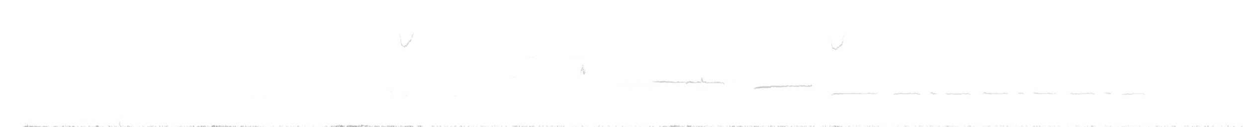 Белогорлая зонотрихия - ML94869141