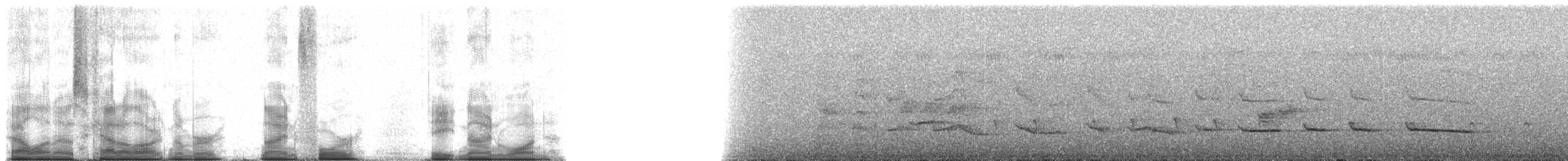 chřástalík šedotemenný - ML94891