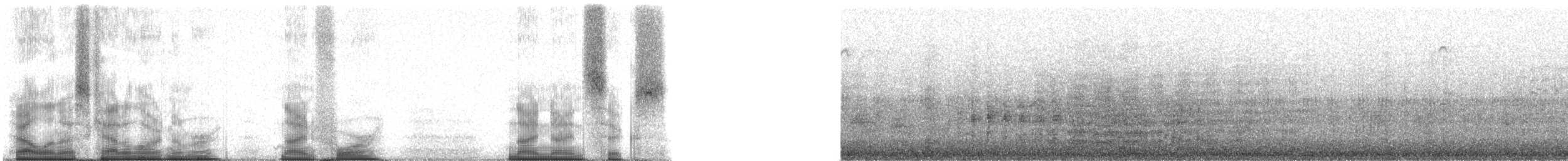 Красноногая олуша (rubripes) - ML94996