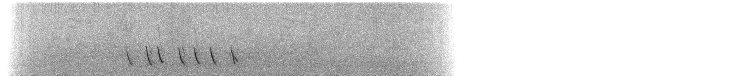 Büyük Mor Kırlangıç - ML94998711