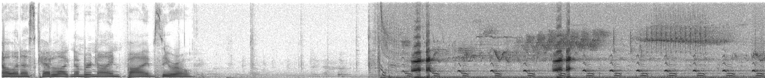 Pied-billed Grebe - ML950