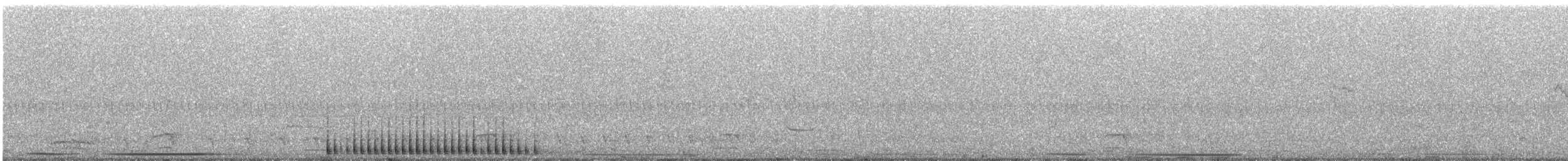 Декол плямистоволий - ML95002611