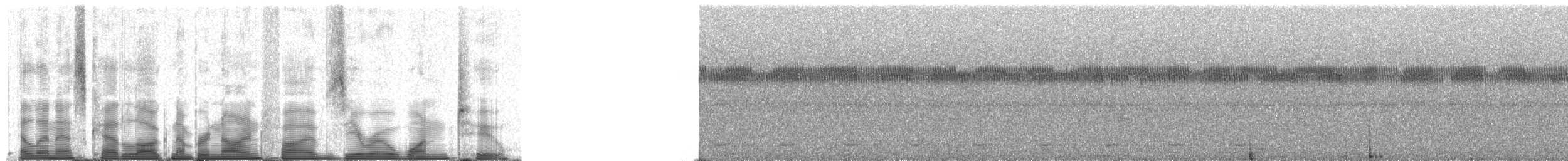 Engoulevent trifide - ML95012