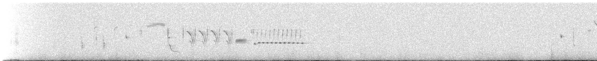 Troglodyte de Bewick - ML95026651