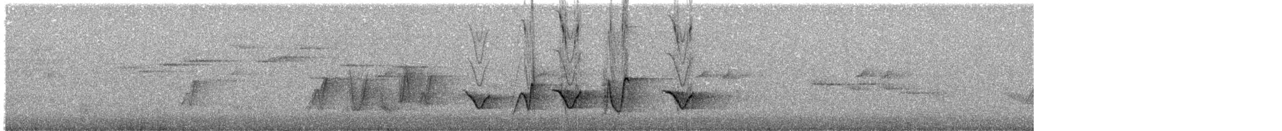 Rufous Whistler - ML95052351