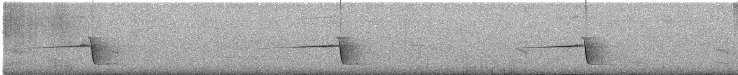 Rufous Whistler - ML95052361