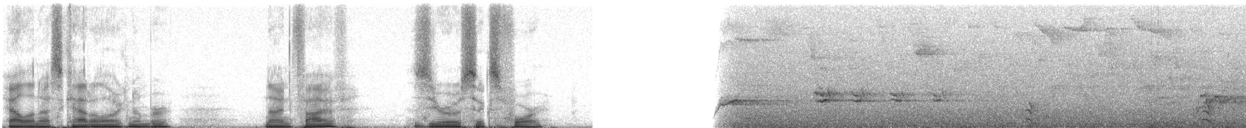 kvesal chocholatý (ssp. mocinno) - ML95064