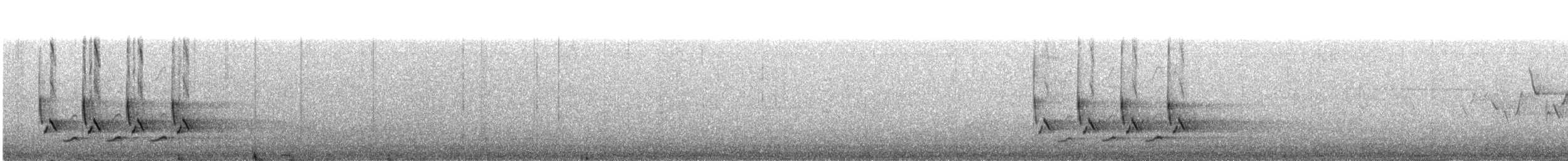 Поплітник каролінський - ML95085381