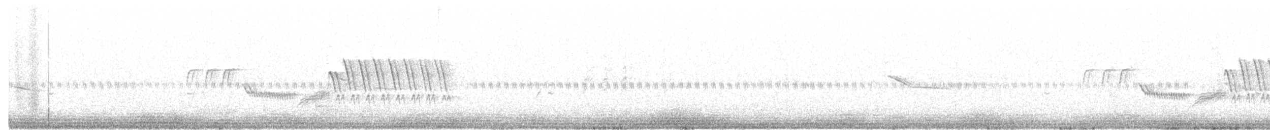 Troglodyte de Bewick - ML95122111