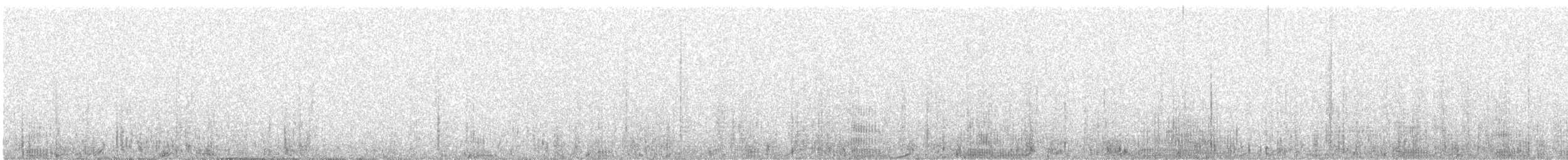 Пелікан рогодзьобий - ML95139841