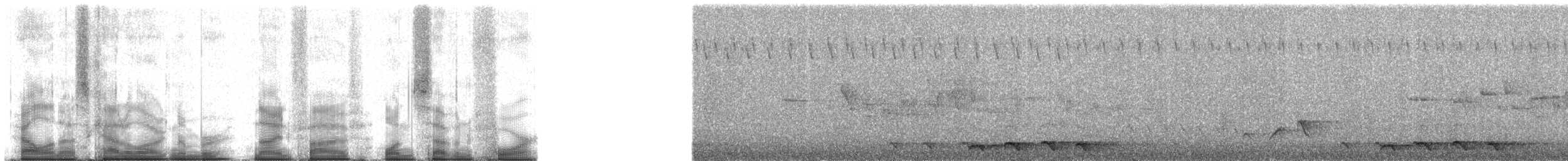 Archbold's Newtonia - ML95174