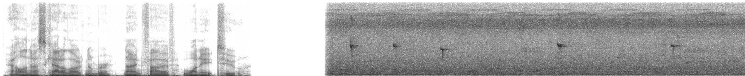 Черноклювый зимородок - ML95182