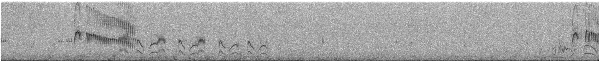Grauscheitel-Kleintyrann - ML95204521