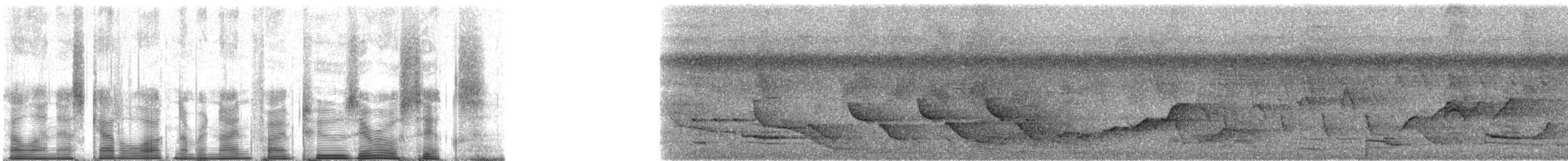 Принсипская славка-монашка - ML95206