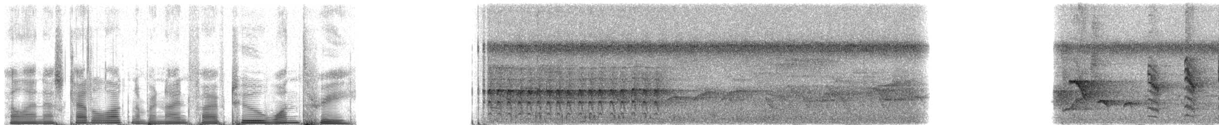 Fauvette de Dohrn - ML95213