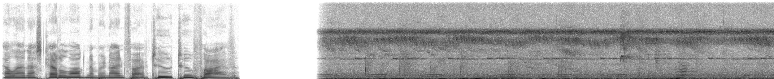 Коричневый голубь (simplex) - ML95225