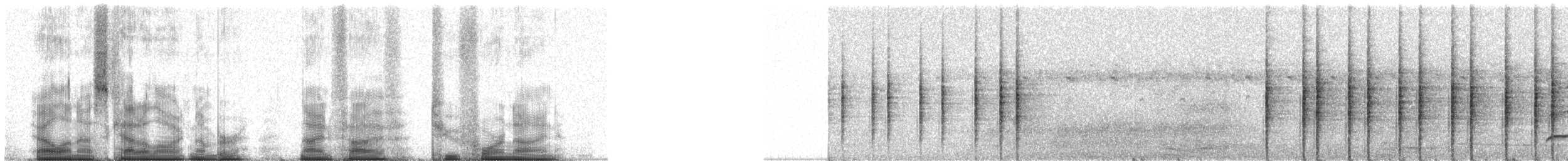 Kurol - ML95249