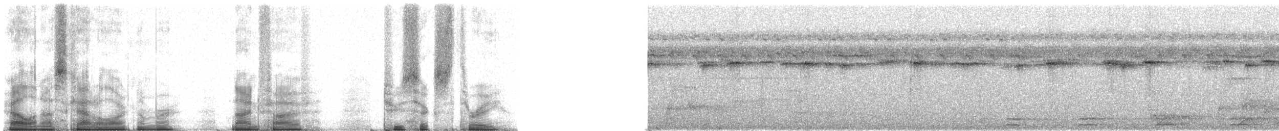 madagaskarugle (madagascariensis) - ML95263