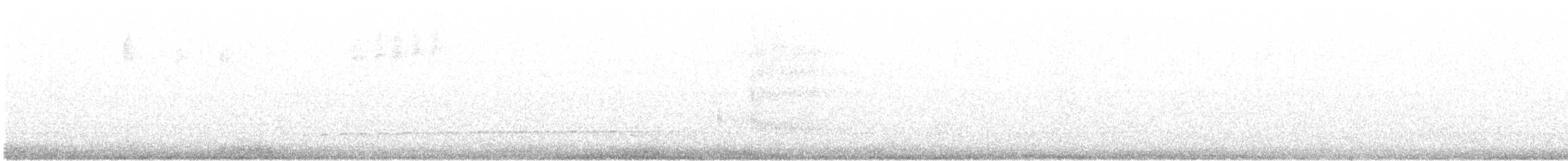 hvitbrynsvartspett - ML95291471