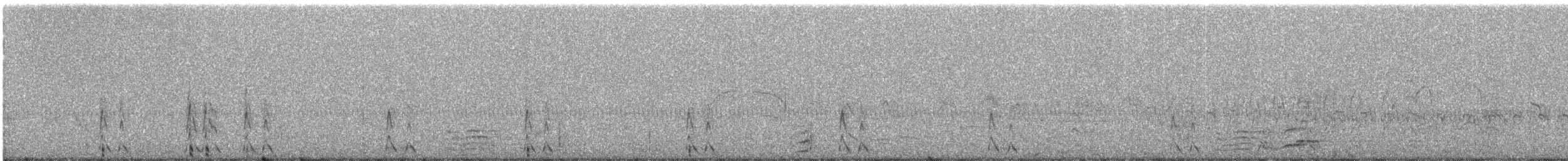 Red Shoveler - ML95302661