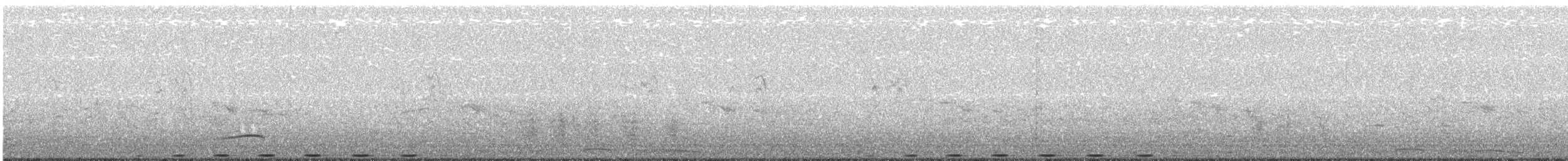 褐翅鴉鵑(sinensis群) - ML95306461