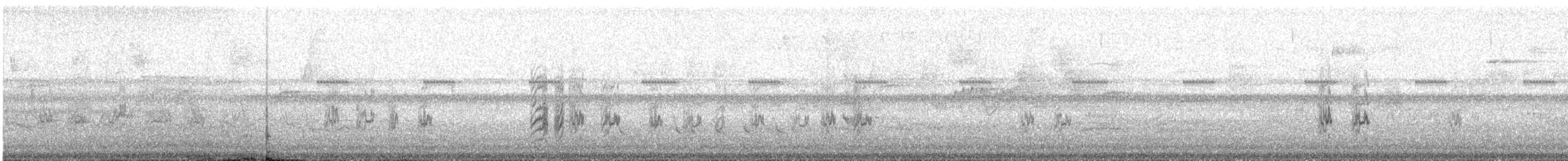 Spot-winged Parrotlet - ML95306871