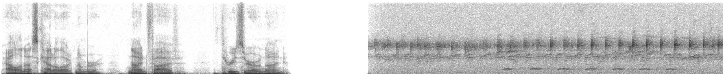 Сплюшка мадагаскарська (підвид rutilus) - ML95309