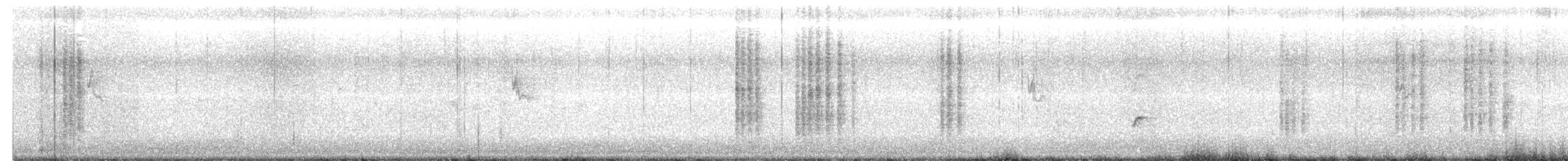 Streak-backed Oriole - ML95315211