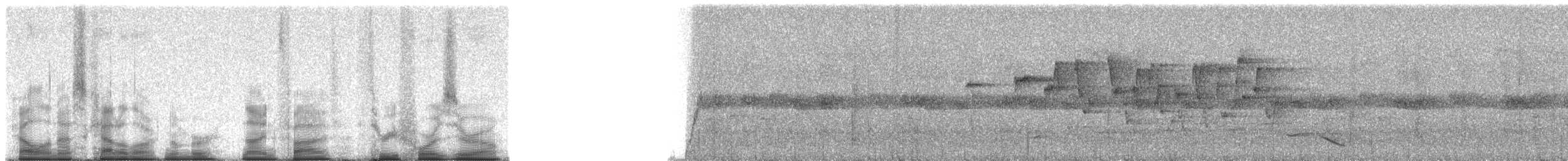 Malegassennektarvogel (sovimanga) - ML95340