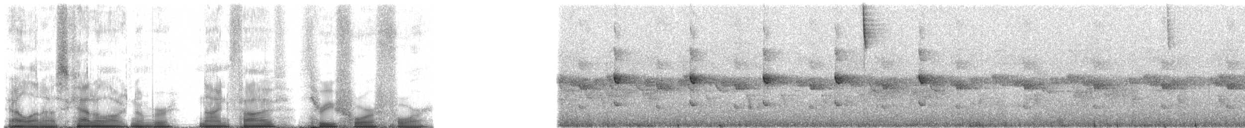 Madagascar Yellowbrow - ML95344