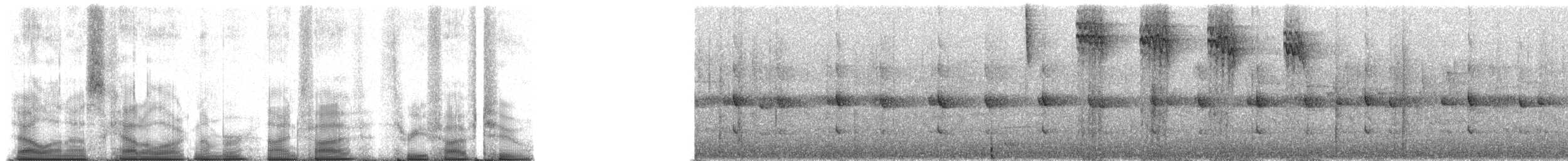 Madagascar Yellowbrow - ML95352