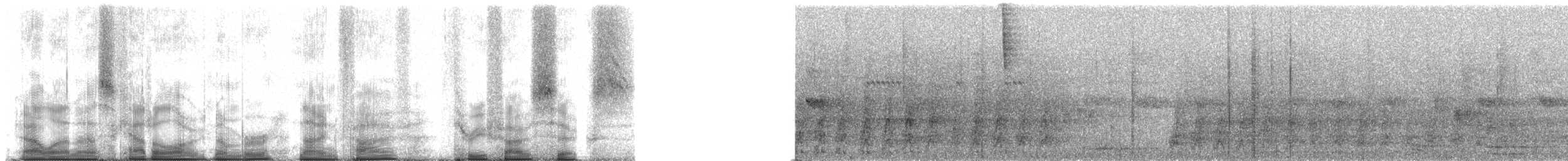 Madagascar Yellowbrow - ML95356