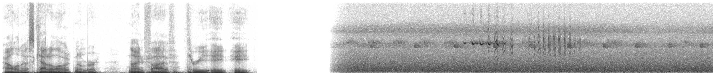 Madagascar Martin - ML95388