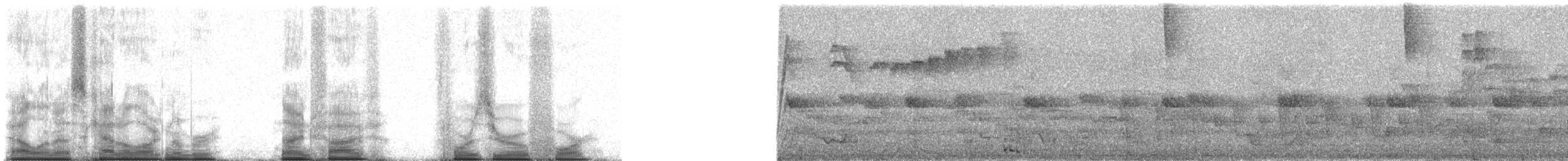 Madagascar Yellowbrow - ML95404