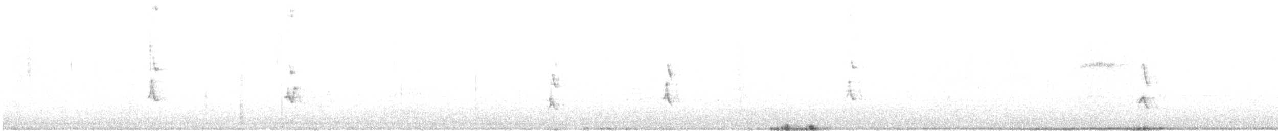 Roselin familier ou R. pourpré - ML95440321