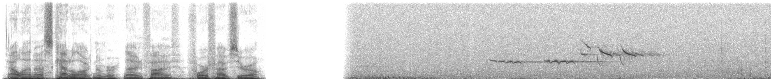 Forest Rock-Thrush (Benson's) - ML95450