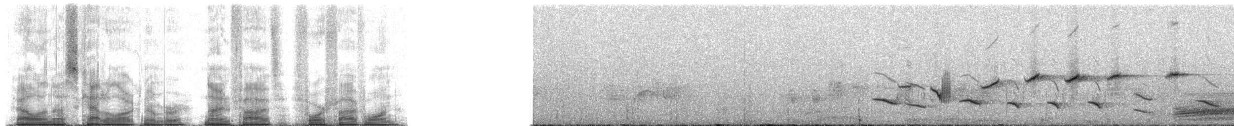 Forest Rock-Thrush (Benson's) - ML95451